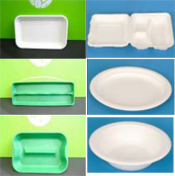 Biodegradable Food Storage Packaging