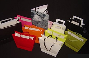 European Style Paper Shopping Bags