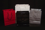 Varnished High Gloss Paper Shopping Bags in beautiful solid colors